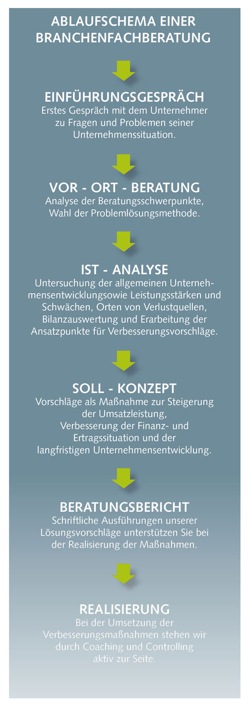 Ablaufschema einer Branchenfachberatung